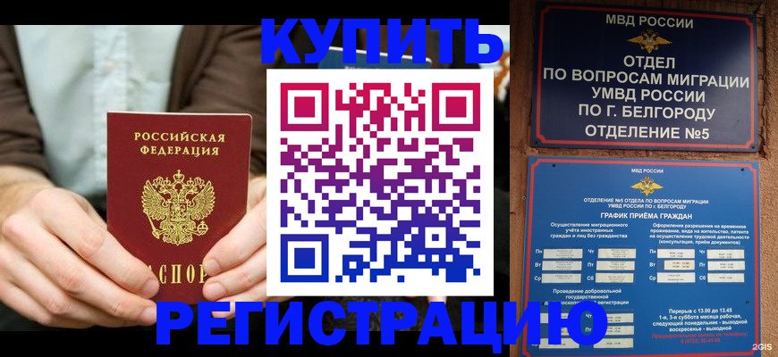 прописка 2025 в Кургане